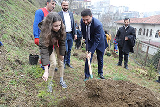 HER BEBEK BİR AĞAÇLA BÜYÜYOR: KÂĞITHANE'DE YEŞİL GELECEK